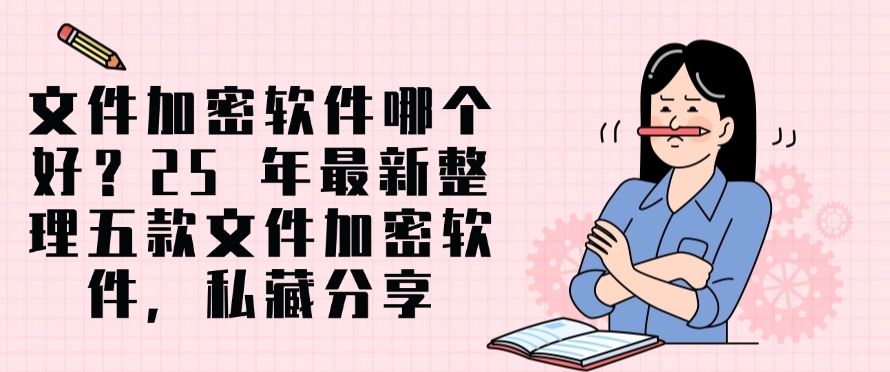 文件加密软件哪个好？2025 年最新五款文件加密软件，私藏分享(图1)