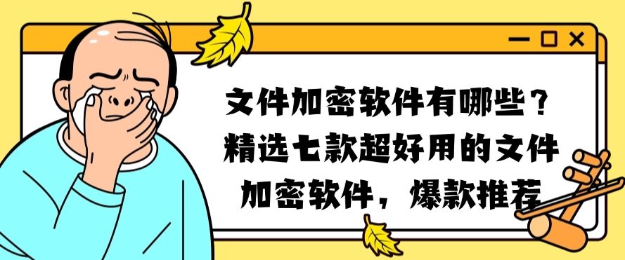 文件加密软件有哪些？精选七款超好用的文件加密软件！​(图1)
