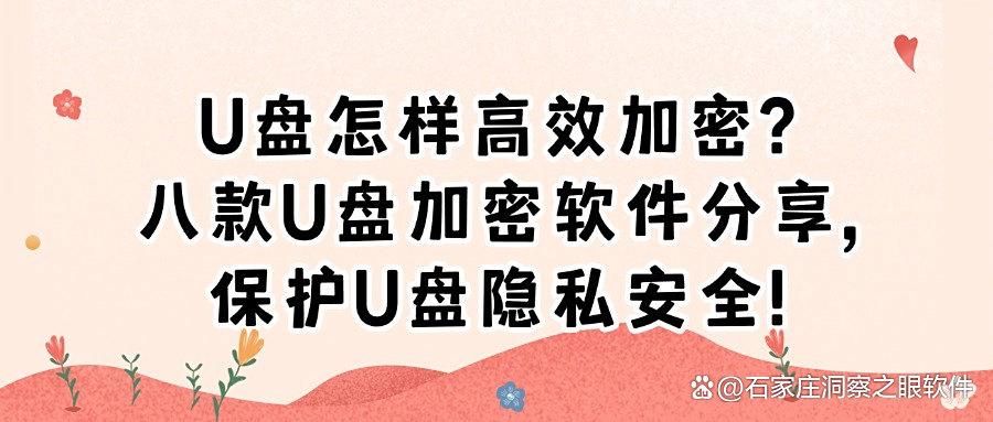 u盘数据总怕泄露?分享八款热门的u盘加密软件,2025年最新推荐(图1)