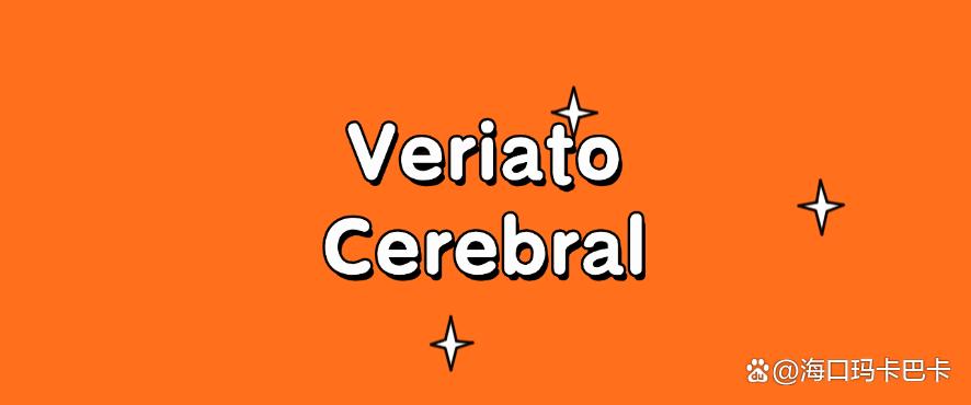 文件如何防泄密？分享七个经典好用的文件防泄密软件，码住了！(图7)